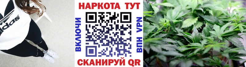 Магазины продажи наркотиков Петухово Alpha PVP  Меф мяу мяу  АМФЕТАМИН  MEGA маркетплейс  Канабис  Cocaine  ГАШИШ 