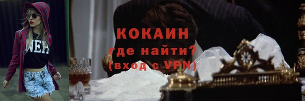 прущие грибы Балахна